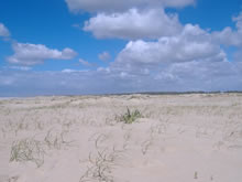 foto de playa despoblada de aguas dulces