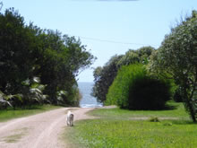 calles de tierra de la coronilla