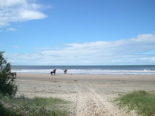 caballos en la playa de la coronilla