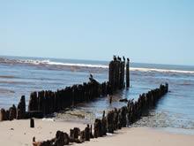 palos clavados en la playa