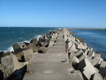 foto del muelle de la paloma