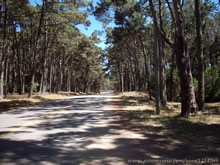 calles de la paloma