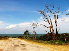 paisaje agreste de santa teresa