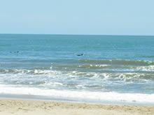 oceano de valizas